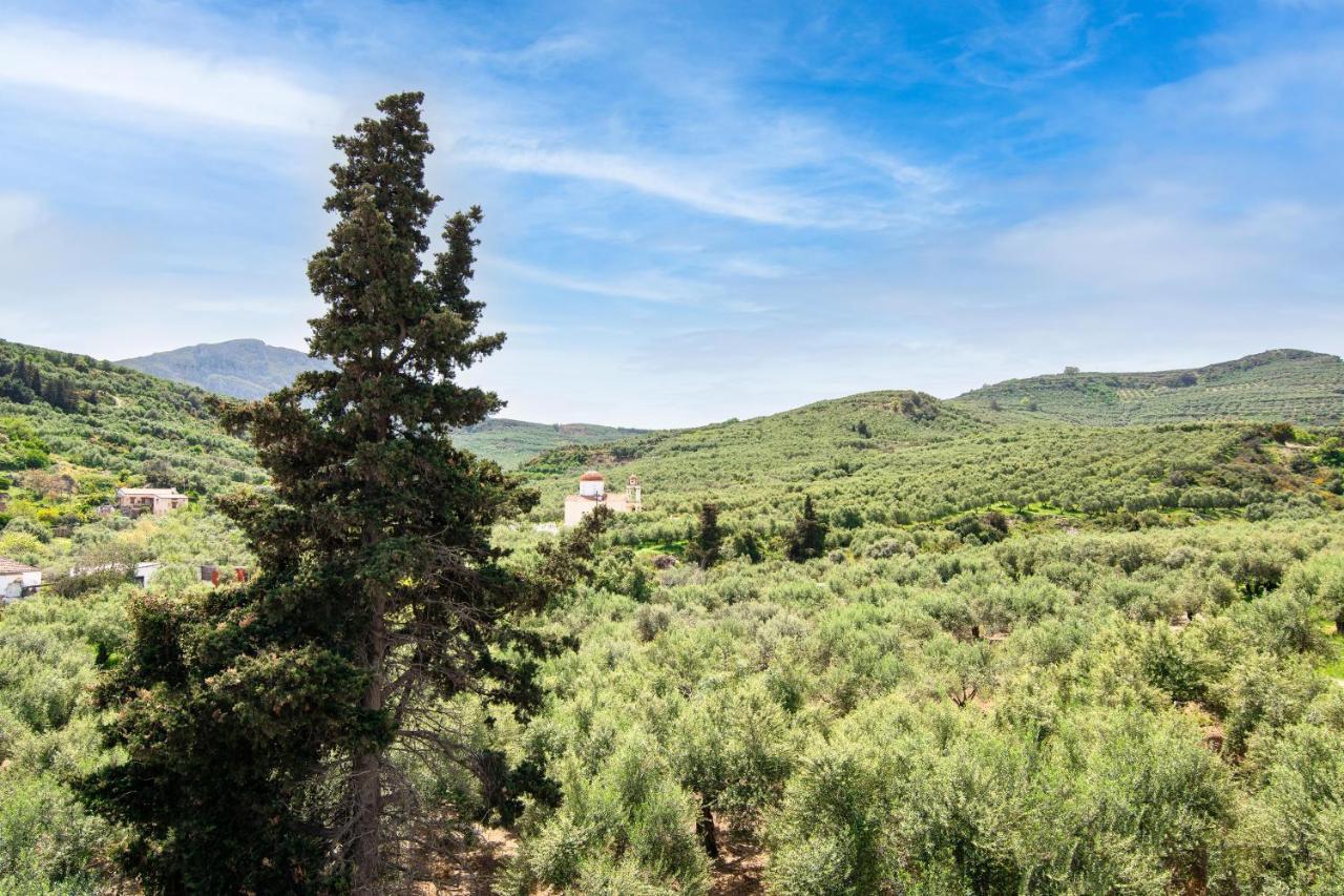 Achilleas Deluxe Αpartment -Pet Friendly-Parking-Mountain View Villa Kotsiana Exterior photo