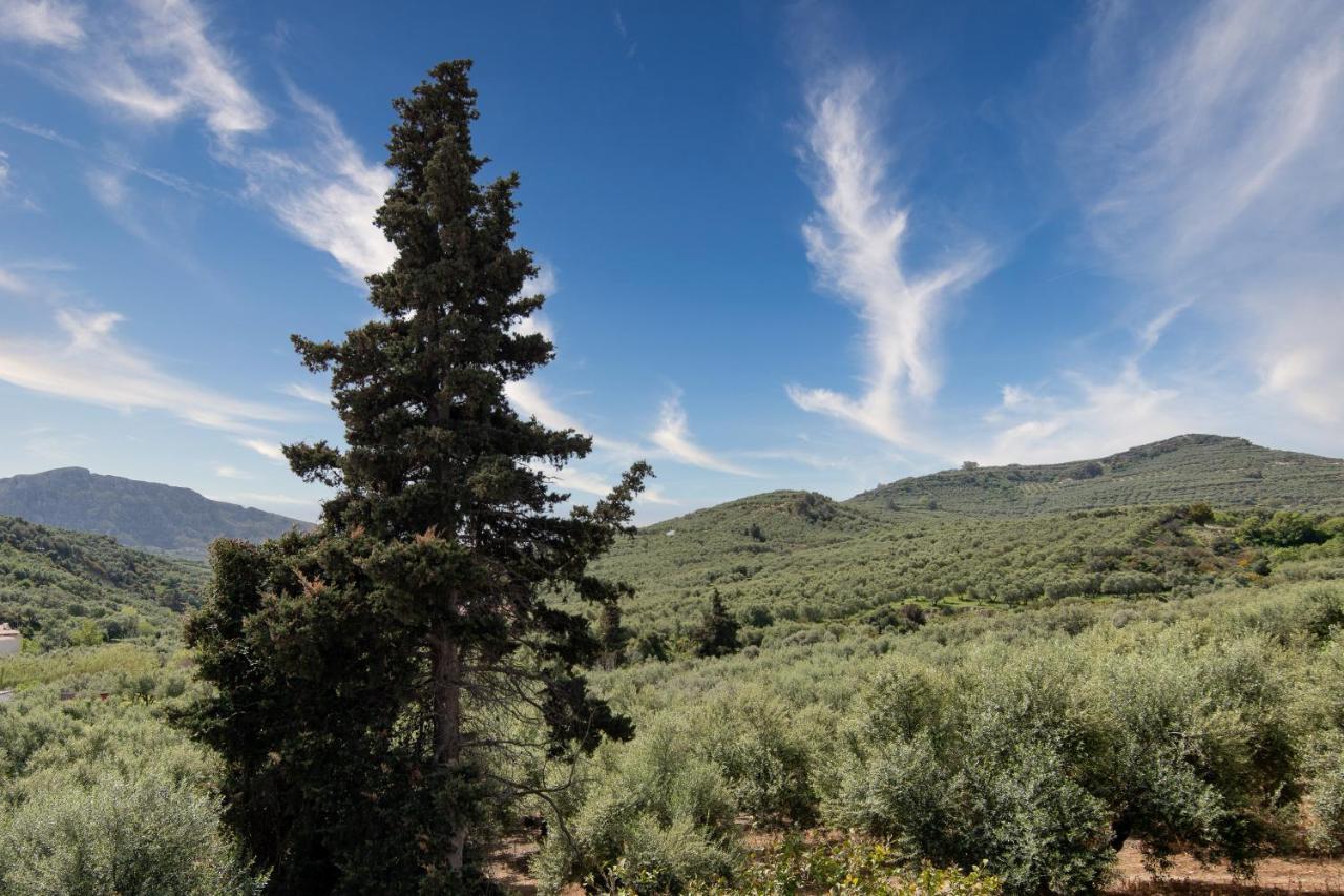 Achilleas Deluxe Αpartment -Pet Friendly-Parking-Mountain View Villa Kotsiana Exterior photo