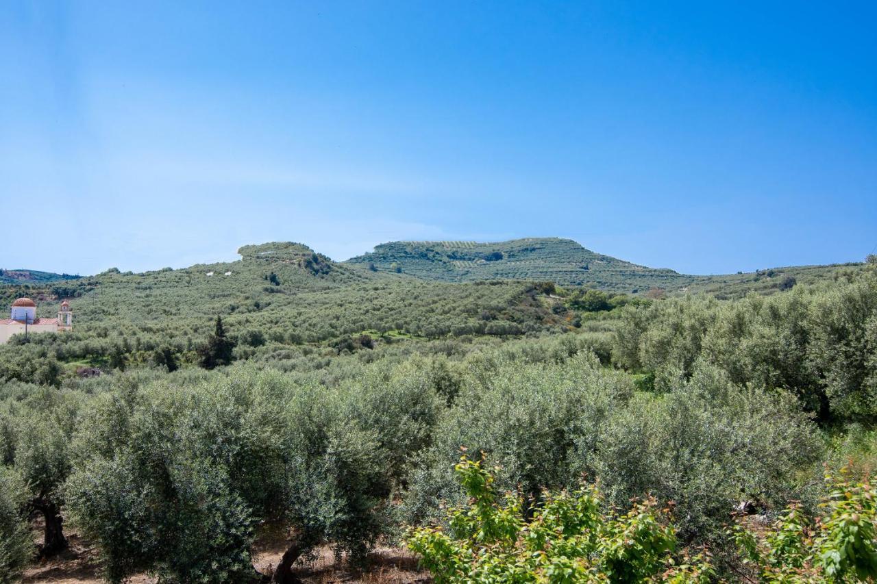 Achilleas Deluxe Αpartment -Pet Friendly-Parking-Mountain View Villa Kotsiana Exterior photo
