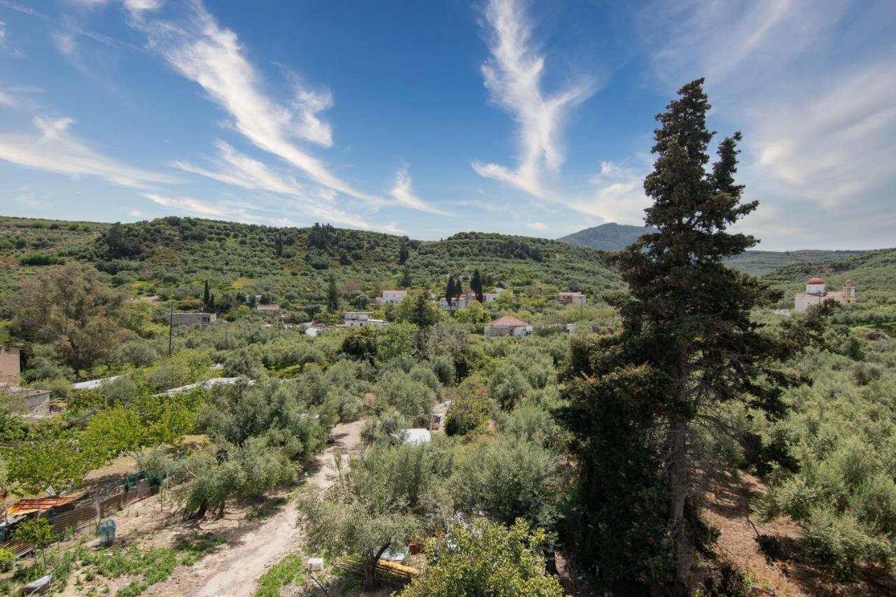 Achilleas Deluxe Αpartment -Pet Friendly-Parking-Mountain View Villa Kotsiana Exterior photo