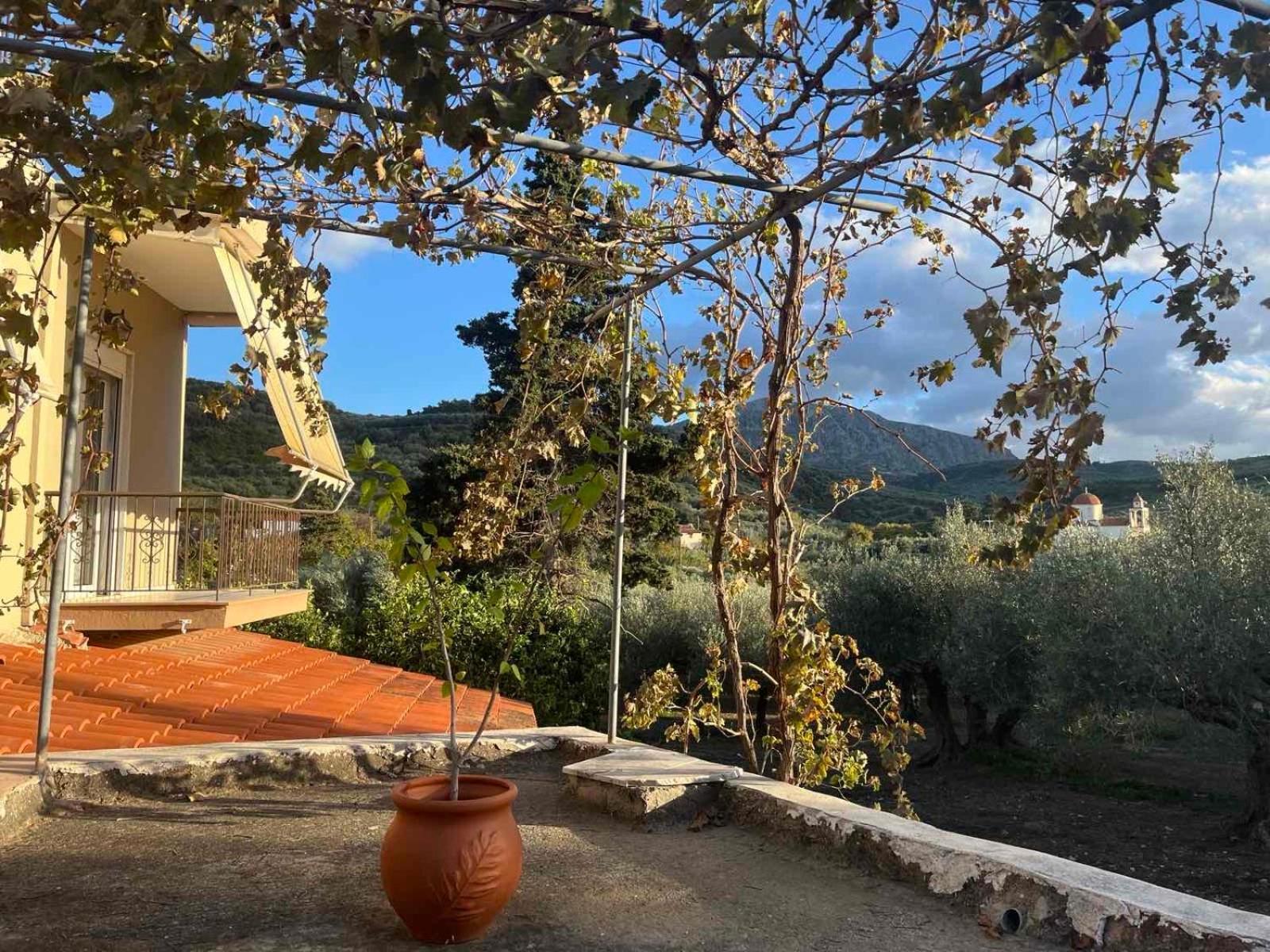 Achilleas Deluxe Αpartment -Pet Friendly-Parking-Mountain View Villa Kotsiana Exterior photo