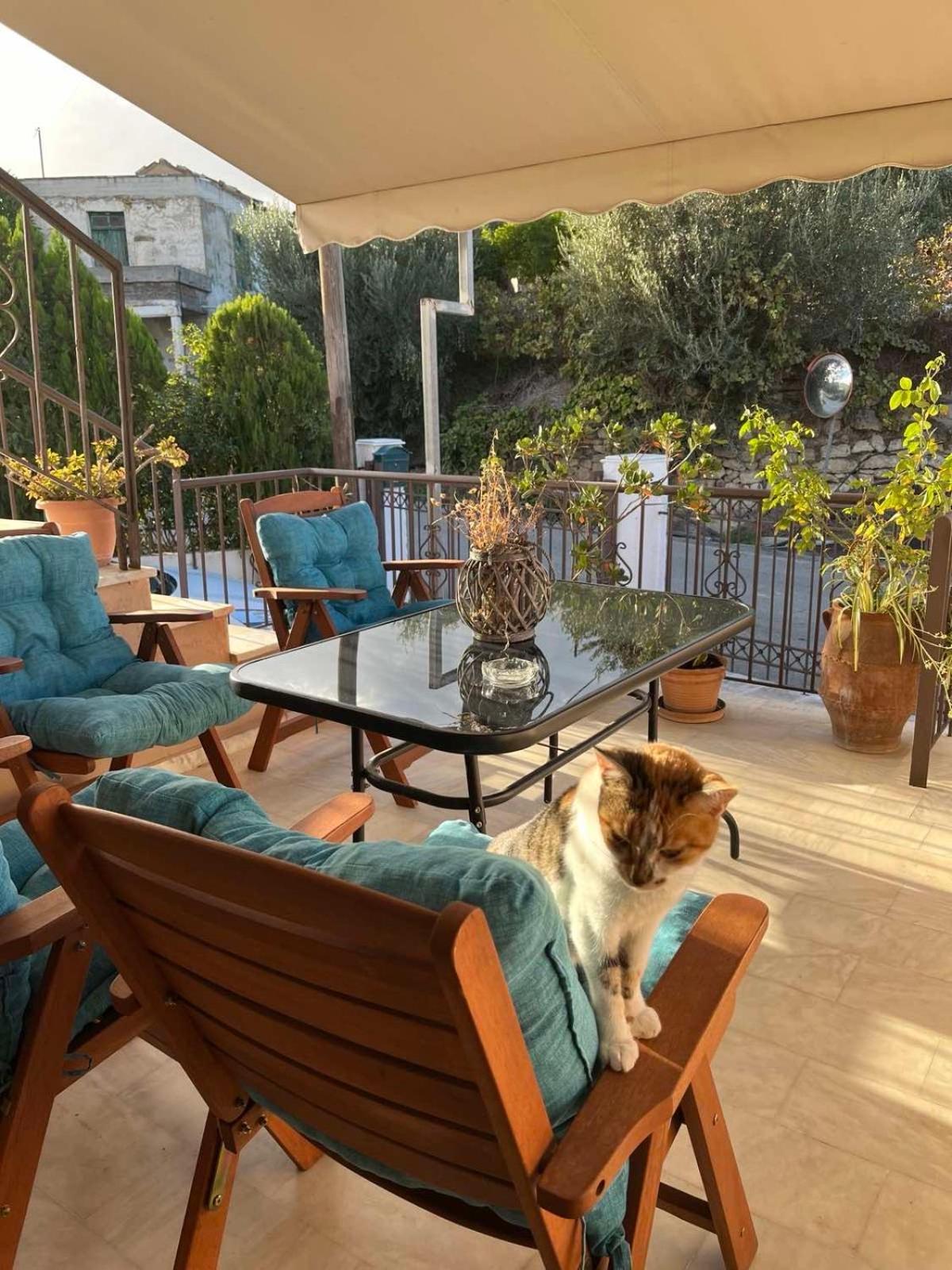 Achilleas Deluxe Αpartment -Pet Friendly-Parking-Mountain View Villa Kotsiana Exterior photo
